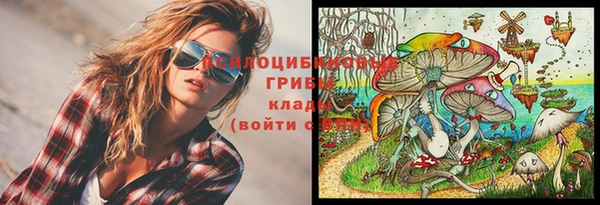 каннабис Дмитровск