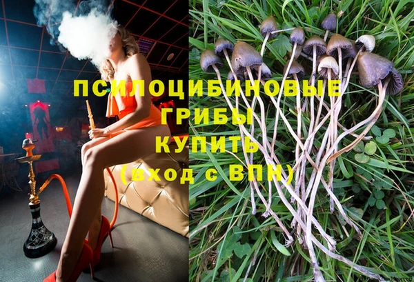 меф Дмитриев