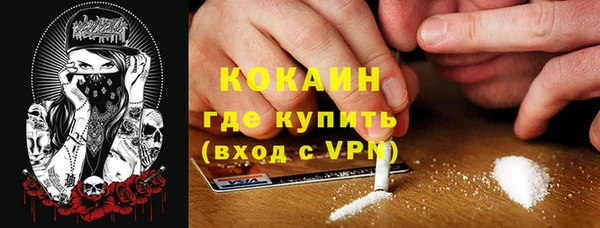 меф Дмитриев