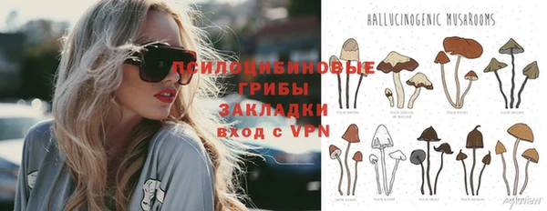 меф Дмитриев